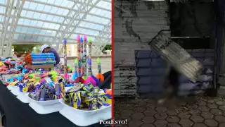 Ciudadana exige operativos contra pirotecnia tras muerte de mascota en Navidad