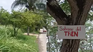 La obra del Tren Ligero en la Calle 102 del Barrio de Santa Lucía es vista positivamente por los ciudadanos, pero desaprueban la reubicación de los árboles.