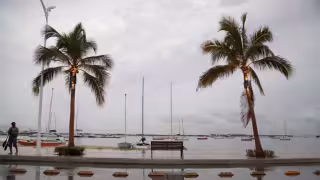 El fenómeno forma parte del temporal de lluvias que afecta a gran parte de México, con especial atención en Guerrero y Oaxaca.