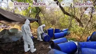 En el municipio de Cosalá, los elementos de seguridad destruyeron una zona de concentración de químicos