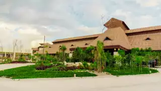 Viajar desde Campeche al Hotel Calakmul es una aventura a través de paisajes impresionantes