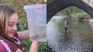 El ajolote se encontraba oculto entre rocas y presentaba lesiones