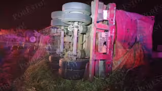 Un tráiler que transportaba alimentos para animales volcó durante la madrugada en el tramo Champotón–Sabancuy.