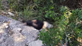 Presuntamente el conductor de la “unidad de dos ruedas” abusó de la velocidad