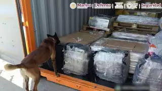 Con el apoyo de un ejemplar canino, se procedió a revisar dos contenedores que acababan de ser descargados de un buque