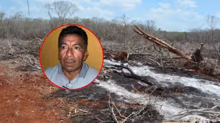 Un apicultor de San Francisco Suc Tuc denunció la muerte de 32 colmenas por presunto envenenamiento.