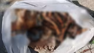 Limpiaba su techo y halla restos óseos en Ciudad Caucel