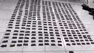 Durante el operativo, las autoridades aseguraron 15 fusiles, 2 mil 744 cartuchos, 118 cargadores y ocho chalecos tácticos y portaplacas