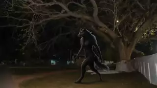 Pobladores recuerdan antiguos relatos que todavía estremecen las noches yucatecas