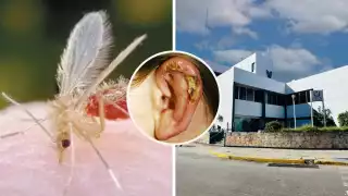 La Leishmaniasis tiene mayor incidencia en Candelaria, Calakmul y parte de Hopelchén por la vegetación; también es tratable, aunque las lesiones no cierran.