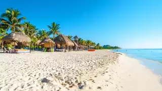 Estos son los mejores restaurantes con vista al mar en Playa del Carmen, según Trip Advisor