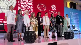 20 mil familias yucatecas dependen del esfuerzo que se hace en los puertos, reveló el gobernador Joaquín Díaz Mena