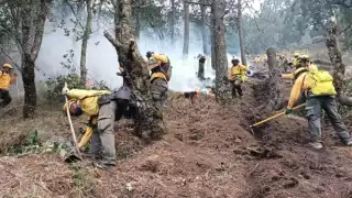 Entre los incendios, el que más llama la atención es el de Isla Arena en Calkiní