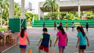 Habrá distintas sedes para los cursos de Verano del Ayuntamiento de Mérida