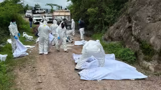 Elementos de la Fiscalía encuentran cuerpos sin vida en Chiapas