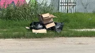 La basura causa molestias a vecinos