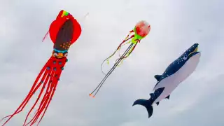 El Festival del Papagayos y Cometas en Progreso tendrá varias actividades