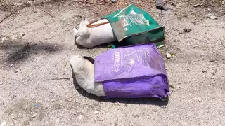 Cuerpos de perros han sido arrojados dentro de bolsas a un terreno baldío