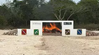 Acción coordinada contra el delito en Yucatán