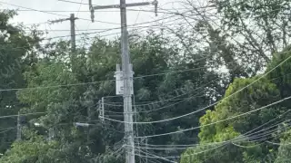 Más de seis horas de variaciones eléctricas en Champotón; colonias Pozo del Gato y El Centenario piden apoyo de la CFE