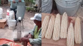 Campesinos de la Sociedad Rural utilizaron el motor de una lavadora para construir el artefacto