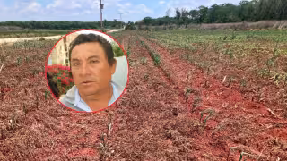 La falta de lluvias golpea al campo de Hopelchén y mantiene en crisis a productores de Ich Ek.