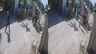 Video exhibe atropello y muerte de perro por recolectores de basura en Tekantó