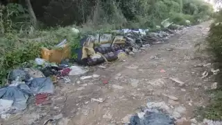 Existe una débil cultura de la denuncia en Chetumal ante afectaciones ciudadanas