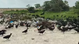 Turistas y locales afectados por contaminación en basurero cercano al Tren Maya
