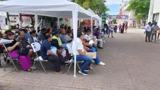 Fallo en sistema del SATQ desata molestias entre los conductores que buscan hacer su canje de placas