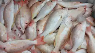 Productos de la canasta bàsica suben de precio en Bacalar