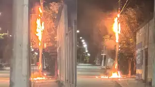 Cables eléctricos se incendiaron en la colonia Nueva Creación de Candelaria.