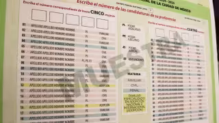 Participar en la elección judicial es un derecho constitucional y una nueva forma de intervención ciudadana