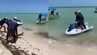 El cocodrilo fue capturado por personal de seguridad de Telchac