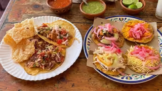 El Festival de la Chicharra y la Feria del Salbut se realizarán este fin de semana en Mérida