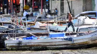 Frentes fríos impulsan captura de sierra: pescadores reportan volúmenes regulares