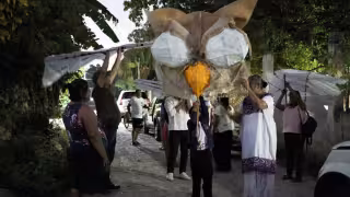 Los participantes recorrieron las calles de la comunidad portando grandes figuras de aves y otros animales