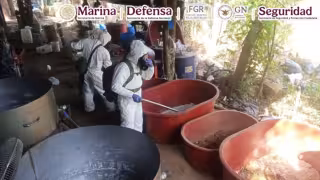 Estas operaciones representan un golpe económico estimado en más de 309 millones de pesos para organizaciones criminales