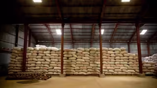 El economista en jefe de la FAO advierte que un cierre prolongado del Estrecho de Ormuz impactaría la cadena de suministro mundial