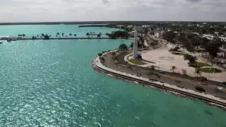 Buscan cultivar jaibas en la bahía de Chetumal