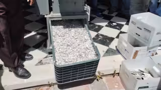 INE Campeche alerta: ciudadanos podrían quedar fuera de la Lista Nominal