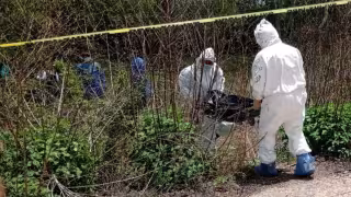 Zopilotes y perros alertan sobre un cadáver abandonado en zona de monte de Ucú