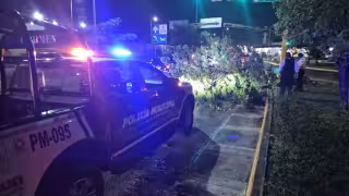 Vientos derriban árbol generando afectaciones viales en avenida Boquerón.