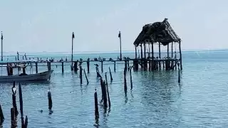 La infraestructura beneficiaría a cooperativas dedicadas al avistamiento de delfines y turismo ecológico.