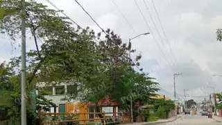 Padres exigen limpieza de canal pluvial en colonia Guanajuato