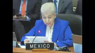 Luz Elena Baños, embajadora de México ante la OEA