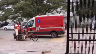 Enjambre ataca a vendedora frente a Juzgados en San José Tecoh