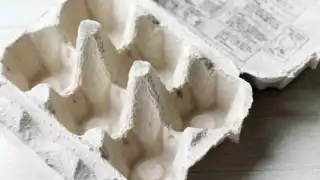 No es ideal quemar cartón de huevo para ahuyentar mosquitos