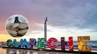 Cada escultura contribuye a la identidad y patrimonio de Campeche, ofreciendo un recorrido cultural único para locales y visitantes.