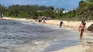 Se desplomó drásticamente la ocupación hotelera en el Caribe mexicano